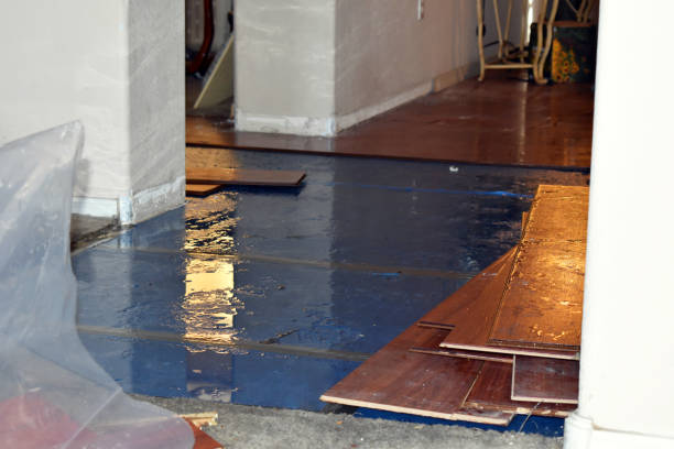 Professional Burst Pipe Cleanup technician working in Solomon, AZ